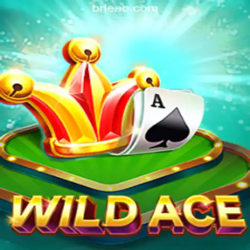 Discover the Thrilling World of WildAce Casino Game